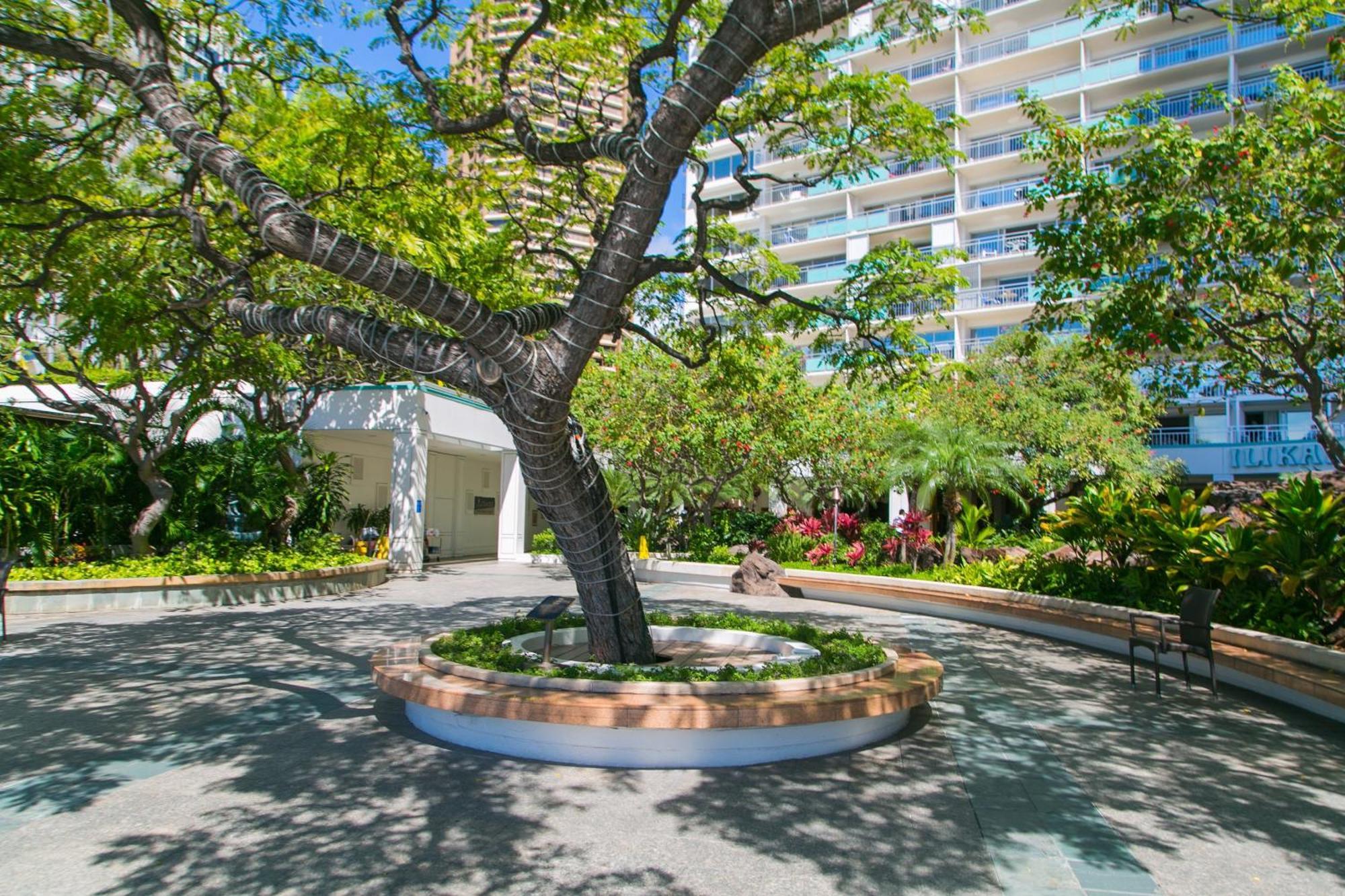 Ilikai Tower 1403 City View 1Br 檀香山 外观 照片
